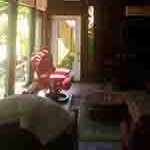 Windows & Doors&nbsp;