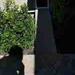 Windows & Doors&nbsp;